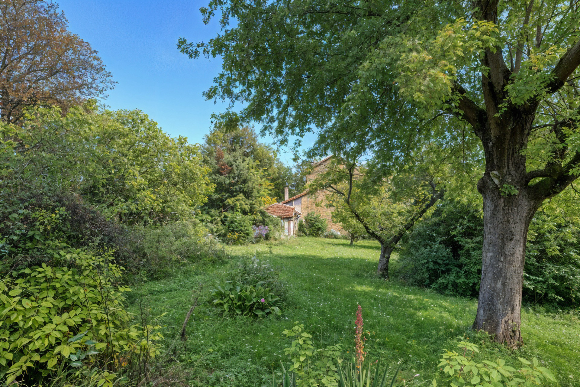 Centre Saint Cyr au Mont d&rsquo;or – OPPORTUNITE ET POTENTIEL